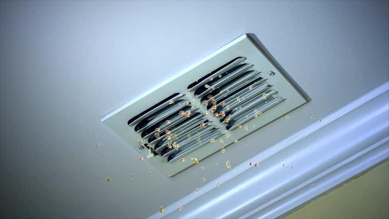 Best Best Air Duct Cleaning Company  in Hallettsville, TX