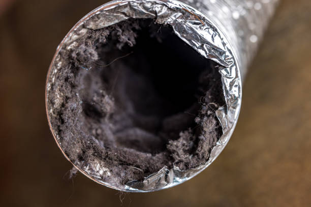 Best General Air Duct Cleaning  in Hallettsville, TX